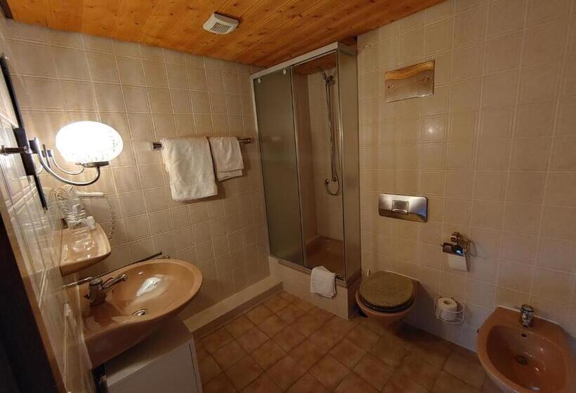 Номер Стандарт, Adler