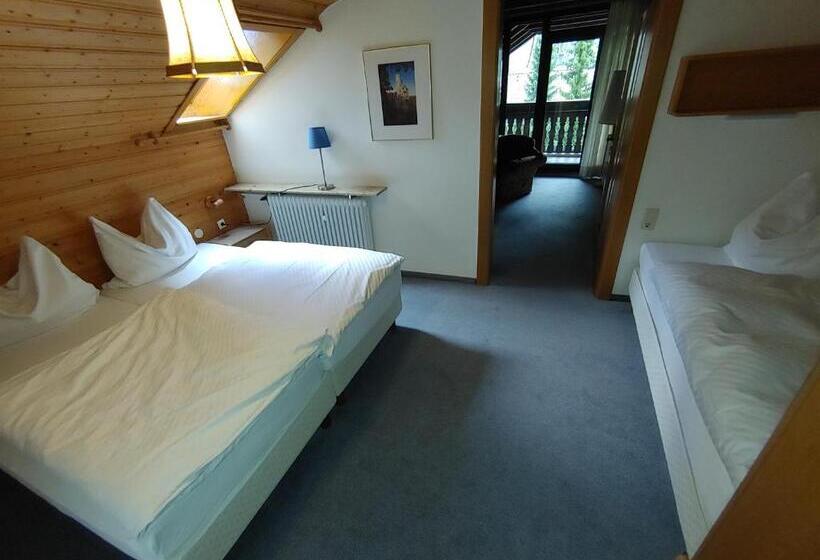 Номер Стандарт Трехместный, Adler