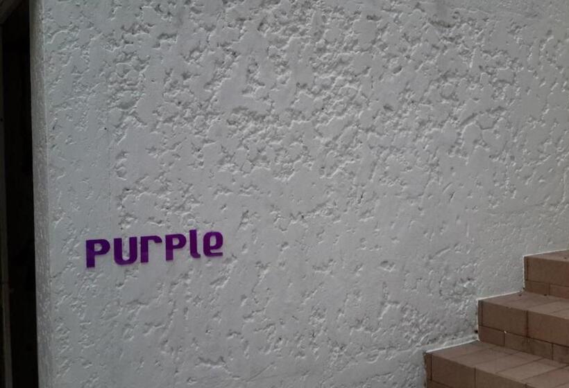 테라스 스위트, Entropy Apartment