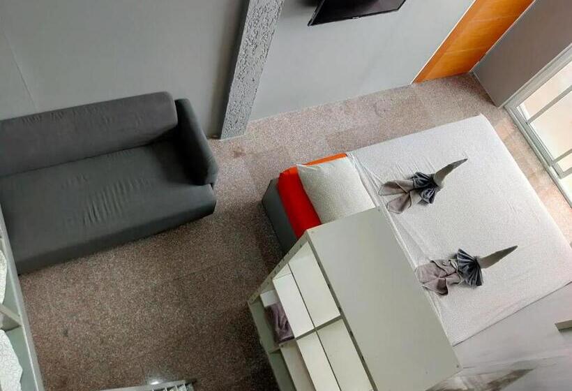 침실 1개 테라스 아파트, Entropy Apartment