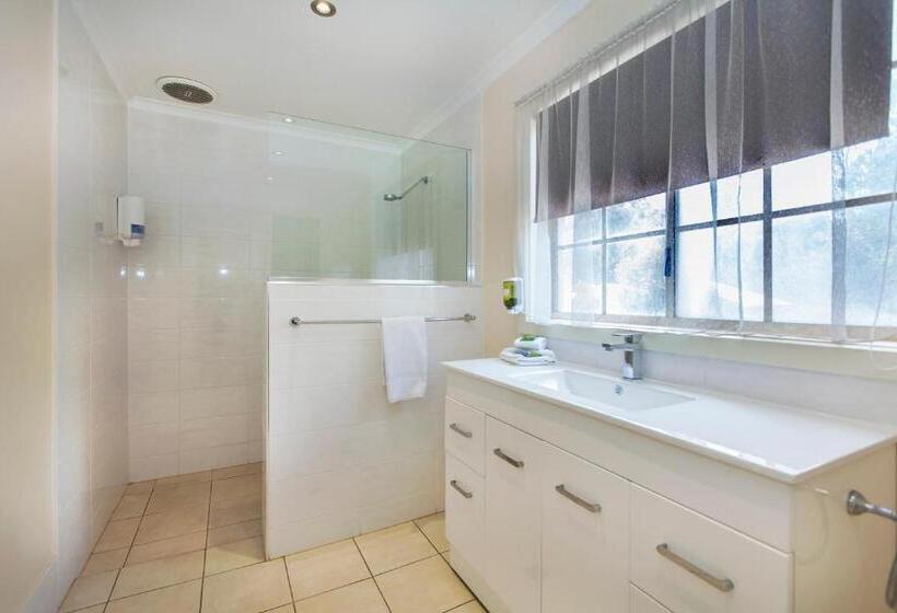 带大床的行政房间, Clare Central