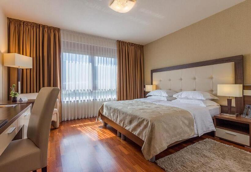 スタンダードルーム, Degenija