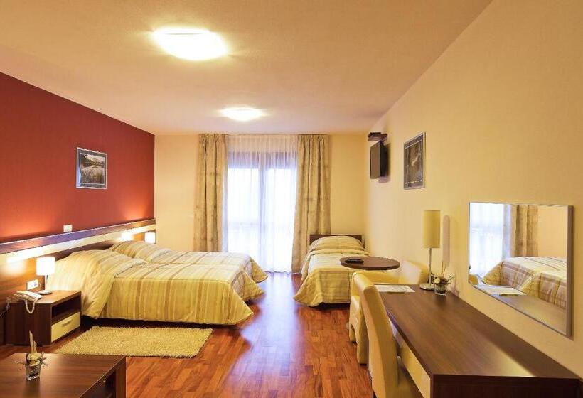 ファミリールーム, Degenija