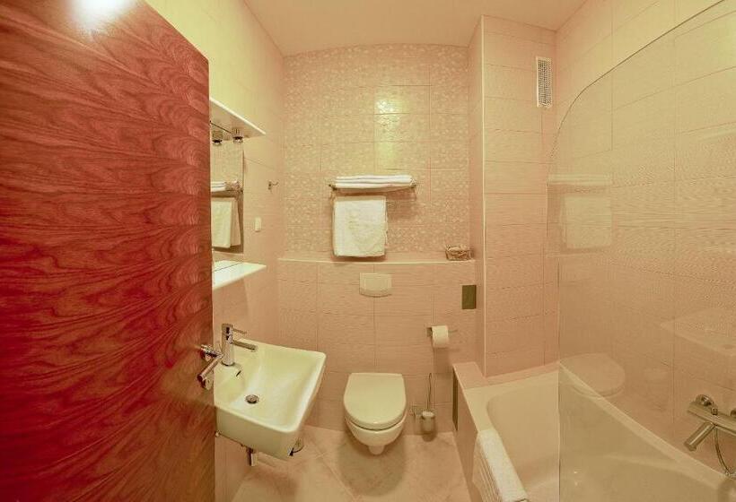 ファミリールーム, Degenija