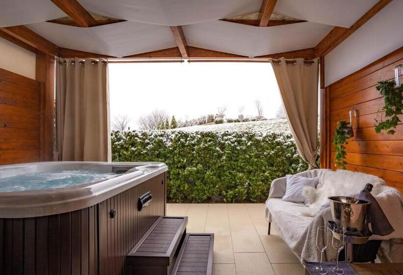 スタンダードインサイドビュールーム, Degenija