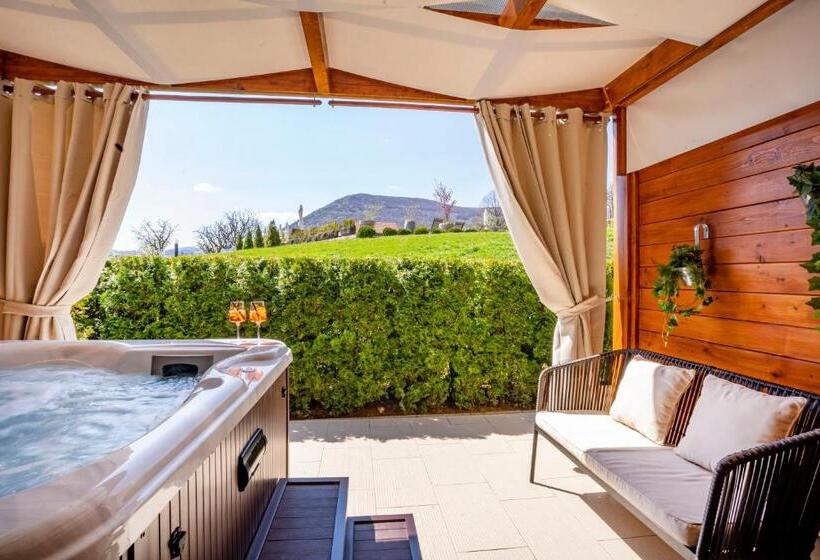 スタンダードインサイドビュールーム, Degenija