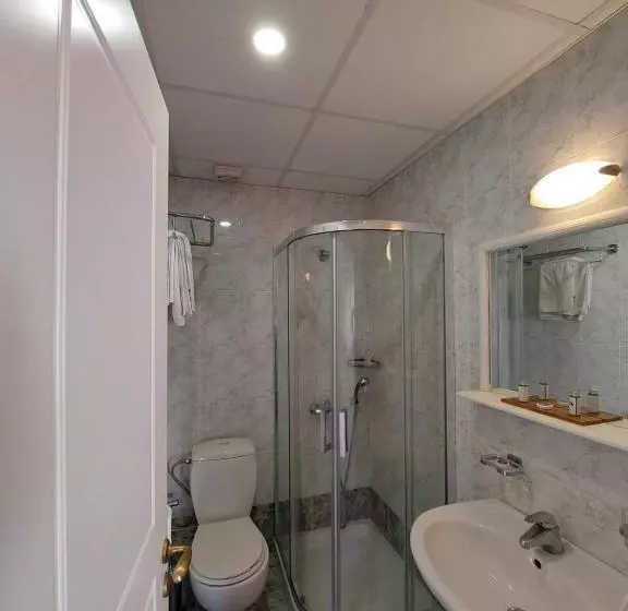 اتاق استاندارد با چشم‌انداز شهر, Electra Syros   Adults Only