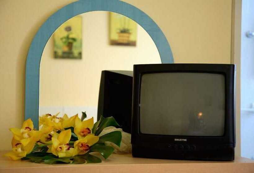 スタンダードルーム, Graziella