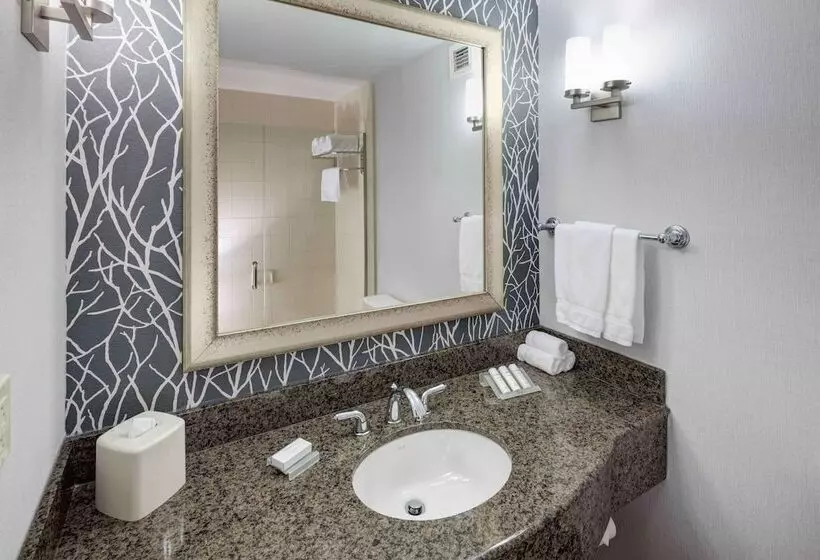 デラックススイート, Hilton Garden Inn Detroit/novi