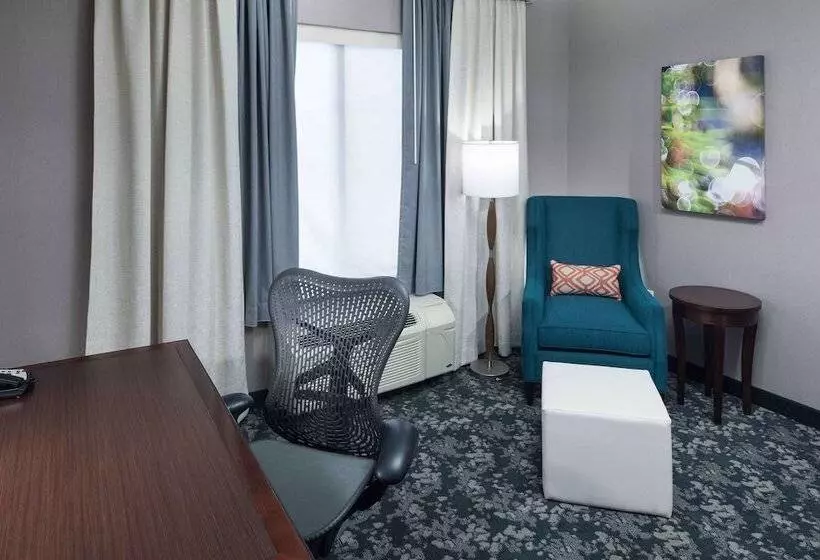 デラックススイート, Hilton Garden Inn Detroit/novi