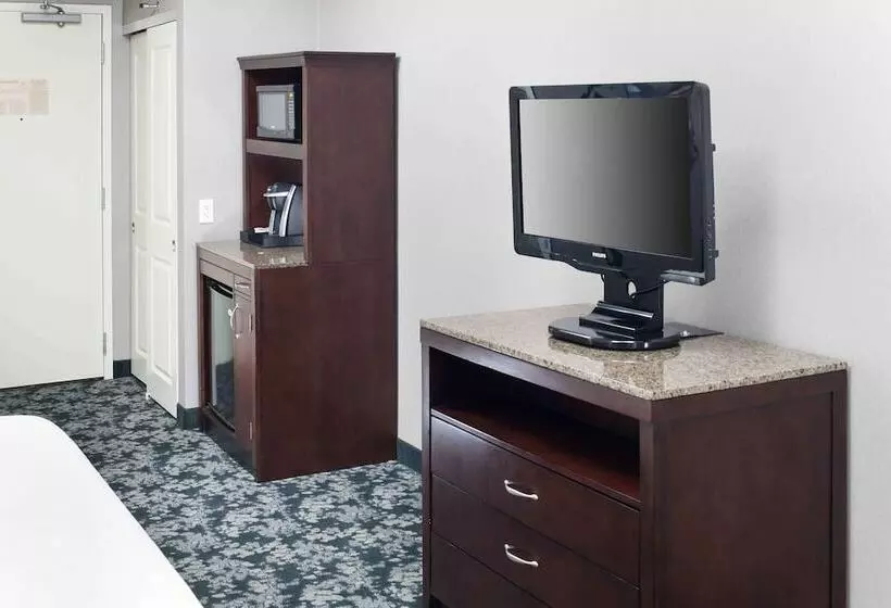 デラックススイート, Hilton Garden Inn Detroit/novi