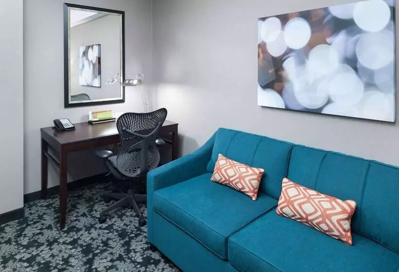 デラックススイート, Hilton Garden Inn Detroit/novi