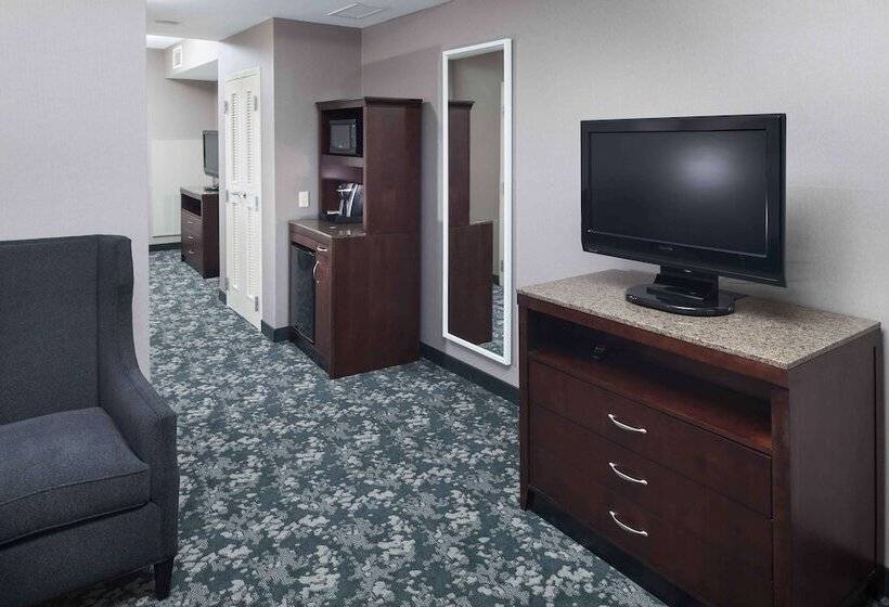 Люкс Повышенной Комфортности, Hilton Garden Inn Detroit/novi