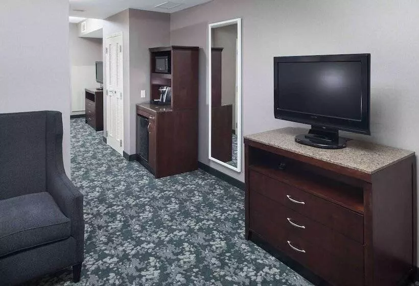 デラックススイート, Hilton Garden Inn Detroit/novi