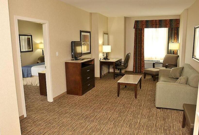 جناح, Holiday Inn Hotel & Suites Surrey East   Cloverdale, An Ihg