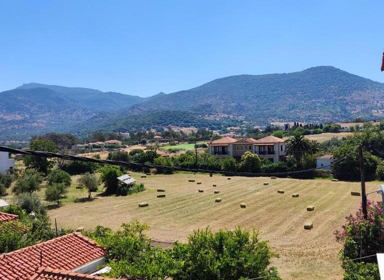 带观景的标准间, Ilion