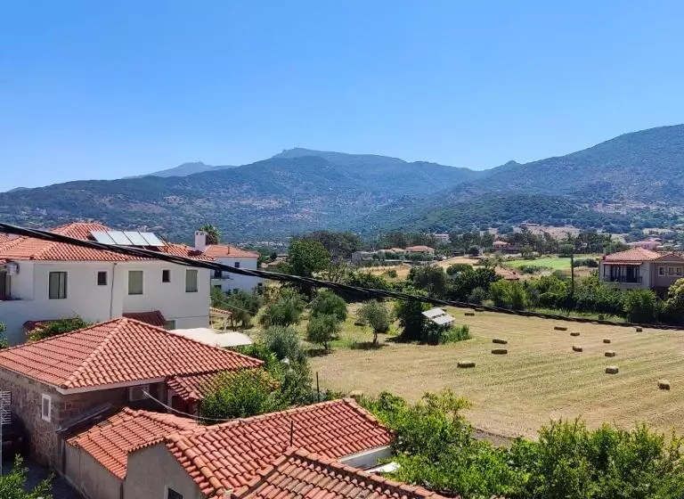 اتاق استاندارد با چشمانداز, Ilion