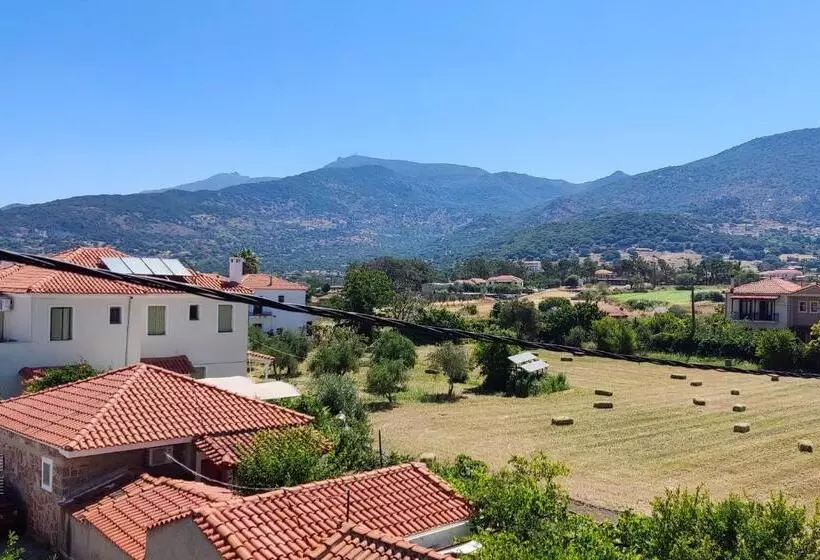 اتاق استاندارد سه نفره, Ilion
