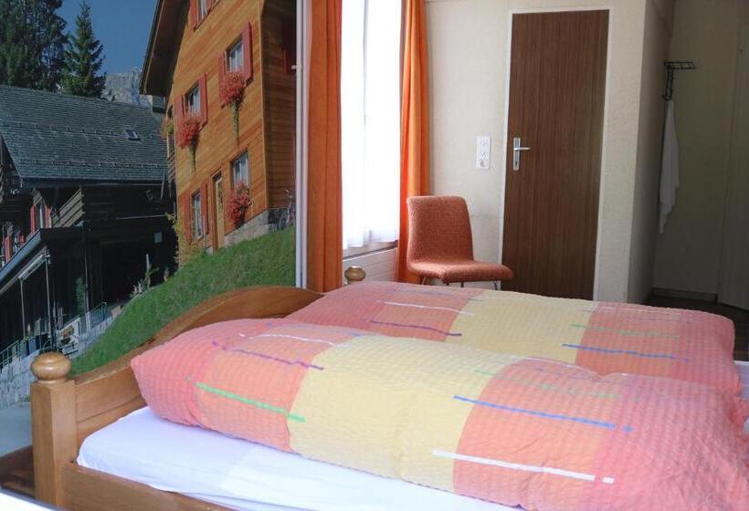 标准间, Adrenalin Backpackers Hostel