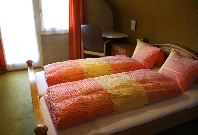 Номер Стандарт, Adrenalin Backpackers Hostel