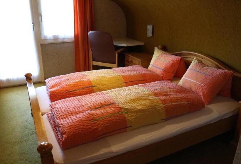 Standard Værelse, Adrenalin Backpackers Hostel