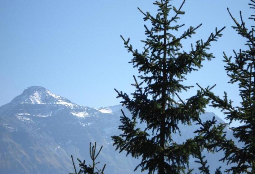 Seng i Delt Værelse, Adrenalin Backpackers Hostel