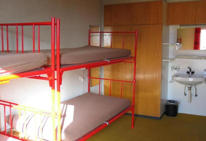 Seng i Delt Værelse, Adrenalin Backpackers Hostel