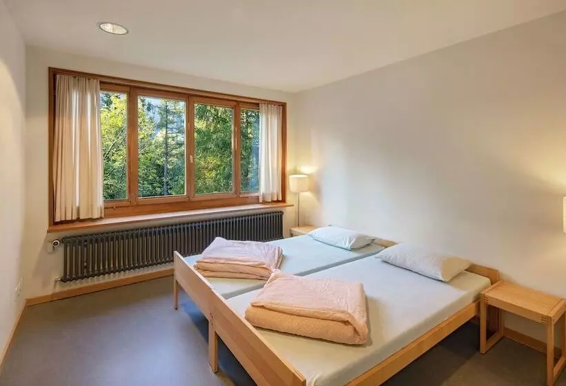 スタンダードシングルルーム, Grindelwald Youth Hostel