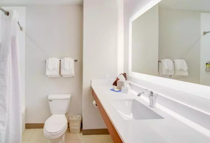 キングサイズベッドのスイートルーム, Holiday Inn Express Hotel & Suites Foley, An Ihg