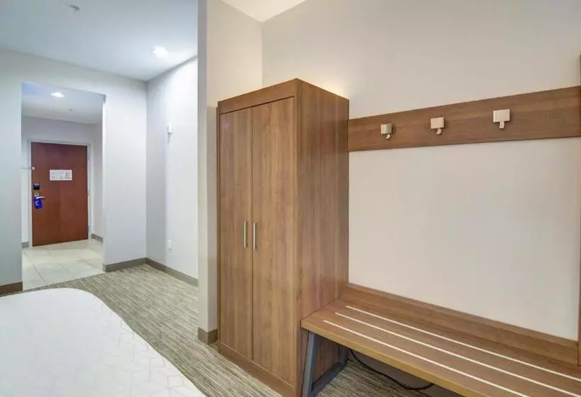 キングサイズベッドのスタンダードルーム, Holiday Inn Express Hotel & Suites Foley, An Ihg