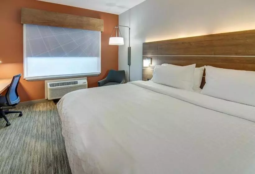 身障者適用キングサイズベッドルーム, Holiday Inn Express Hotel & Suites Foley, An Ihg