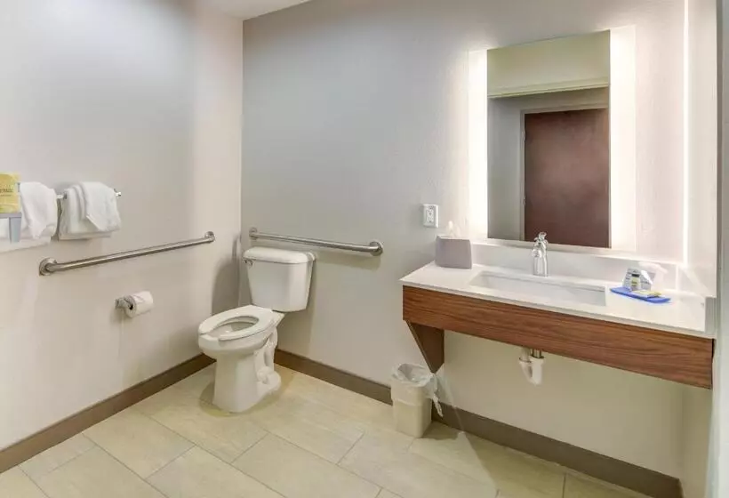 身障者適用キングサイズベッドルーム, Holiday Inn Express Hotel & Suites Foley, An Ihg