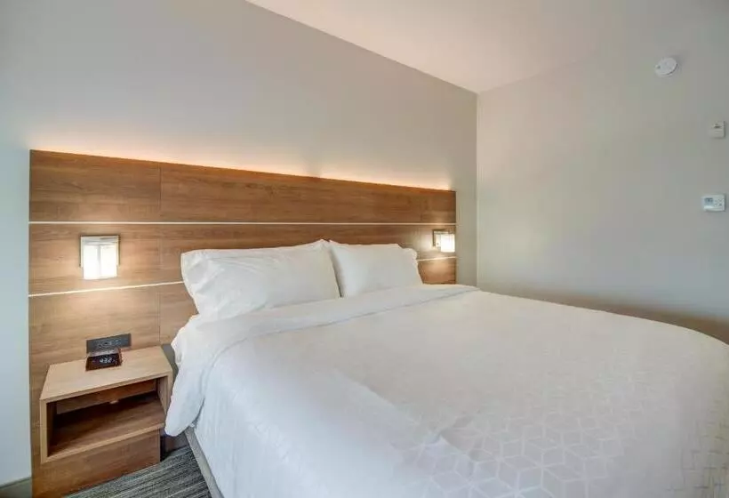 身障者適用キングサイズベッドルーム, Holiday Inn Express Hotel & Suites Foley, An Ihg
