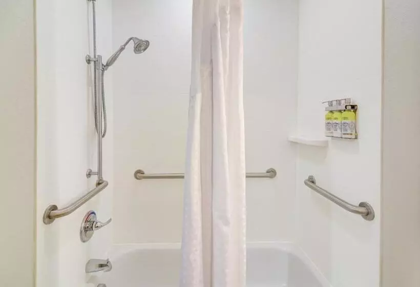 身障者適用キングサイズベッドルーム, Holiday Inn Express Hotel & Suites Foley, An Ihg