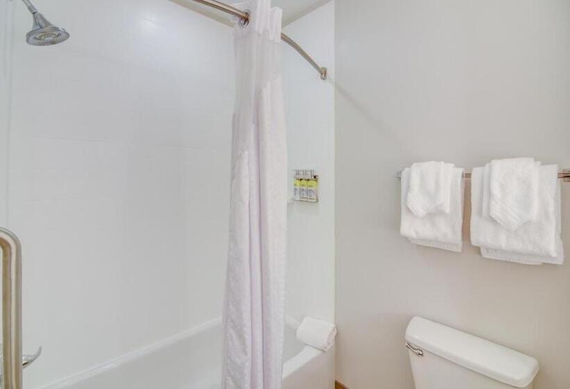 Люкс Адаптированный для Инвалидов, Holiday Inn Express Hotel & Suites Foley, An Ihg