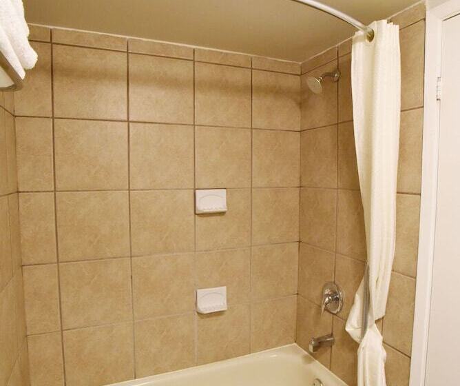 חדר סטנדרט, Econo Lodge Inn & Suites Drumheller