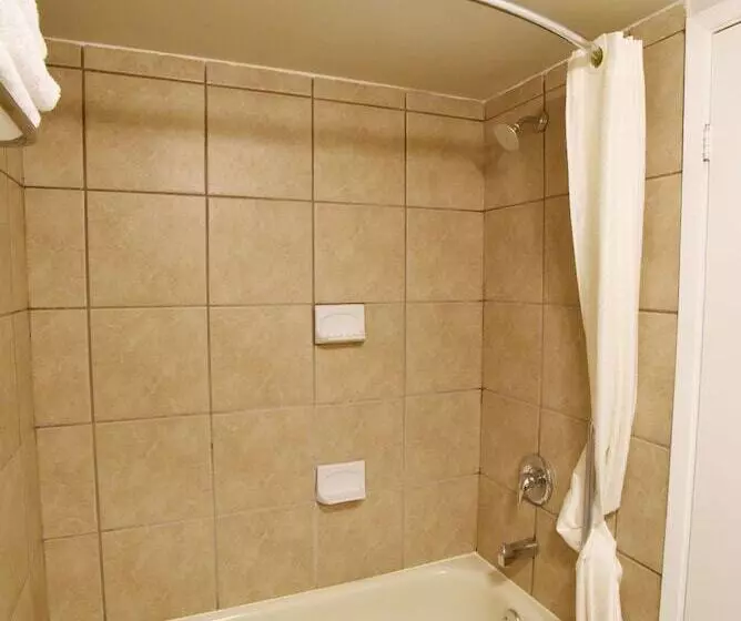 スタンダードルーム, Econo Lodge Inn & Suites Drumheller