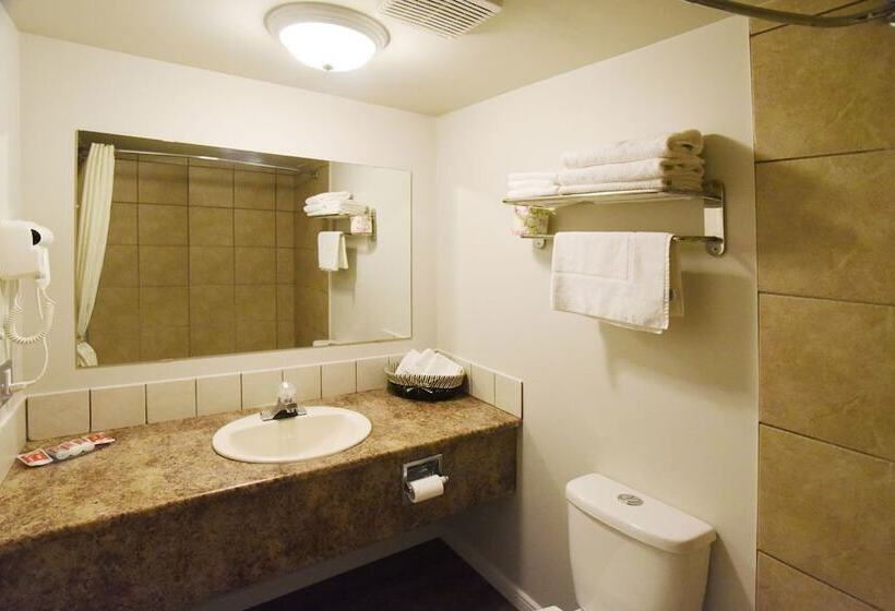スタンダードルーム, Econo Lodge Inn & Suites Drumheller