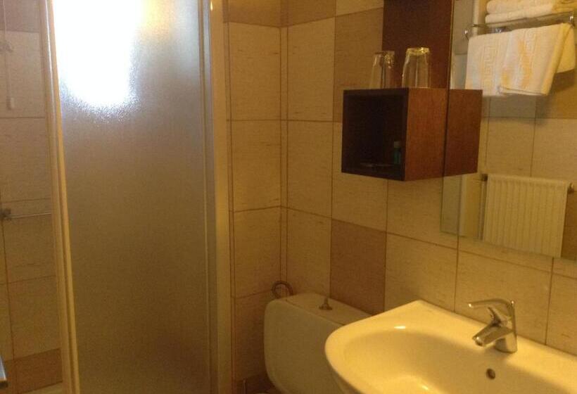 スタンダードトリプルルーム, Electra