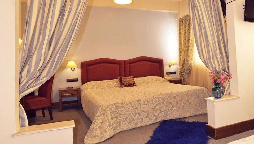 اتاق استاندارد یک نفره, Elvetia