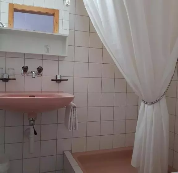 Standard Yhden Hengen Huone, Gasthof Schoenegg B&b