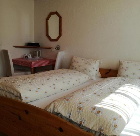 اتاق استاندارد, Gasthof Schoenegg B&b
