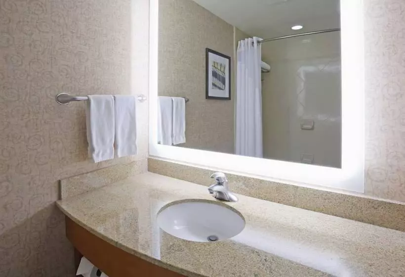 スイート, Holiday Inn Hotel & Suites Maple Grove Northwest Minneapolis Arbor Lakes, An Ihg