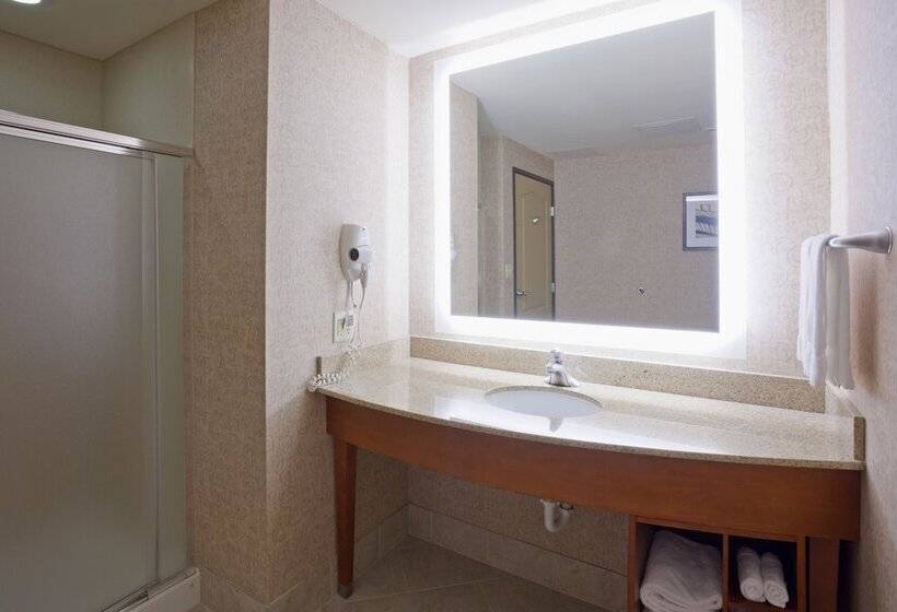 Люкс, Holiday Inn Hotel & Suites Maple Grove Northwest Minneapolis Arbor Lakes, An Ihg