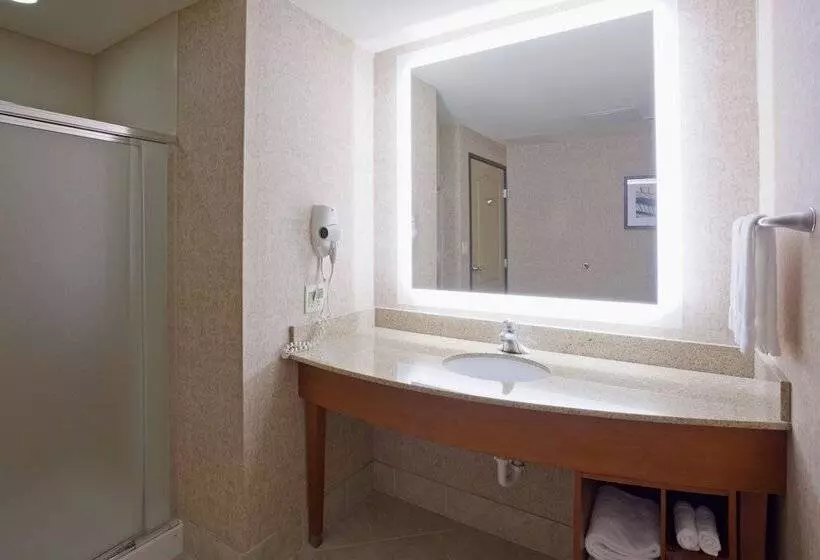 スイート, Holiday Inn Hotel & Suites Maple Grove Northwest Minneapolis Arbor Lakes, An Ihg