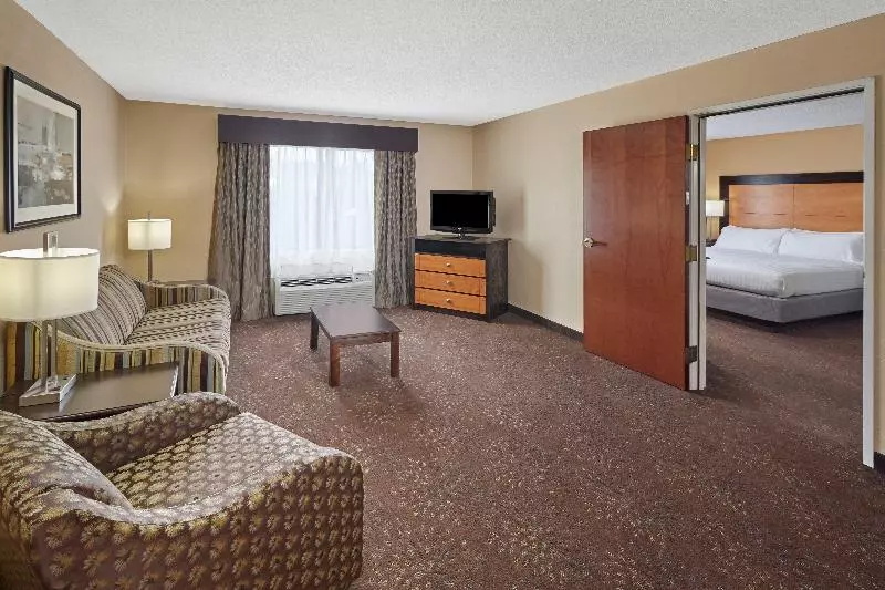 キングサイズベッドのスイートルーム, Holiday Inn Express  & Suites Bufordmall Of Georgia