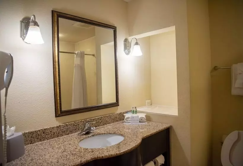 スタンダードルーム, Holiday Inn Express Hotel & Suites Chaffee   Jacksonville West, An Ihg