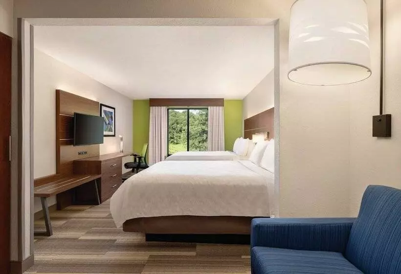 スイート, Holiday Inn Express Hotel & Suites Lavonia, An Ihg