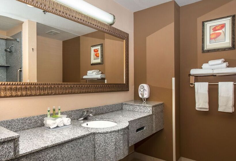 スタンダードルーム, Holiday Inn Express Hotel & Suites Lavonia, An Ihg