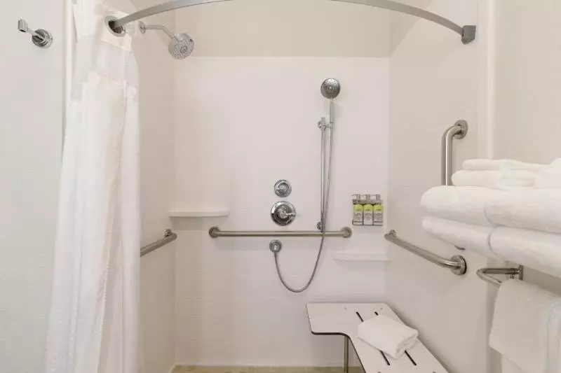 身障者適用クイーンサイズベッドルーム, Holiday Inn Express Hotel & Suites Lavonia, An Ihg